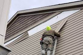 Best Vinyl Siding Installation  in Del Mar, CA